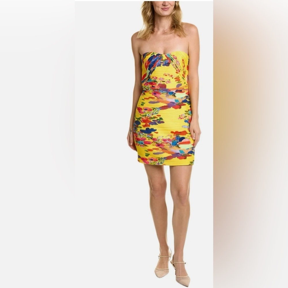 NWT Jana Mini Dress